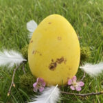 Nussnougat - Dragee - Gelb