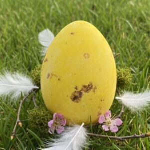 Nussnougat - Dragee - Gelb